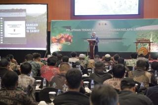 Pekebun dari Tanah Bumbu dan Barito Kuala Ikut Pelatihan Teknis Budidaya Sawit