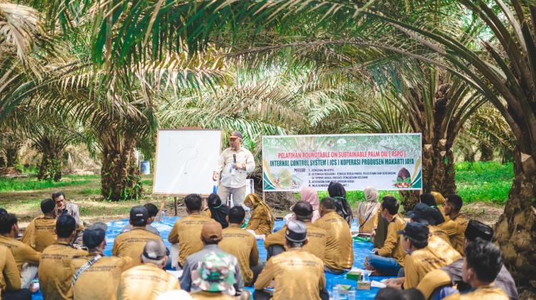 Ratusan Petani Mitra PTPN IV PalmCo Bakal Kantongi Sertifikasi RSPO Secepatnya