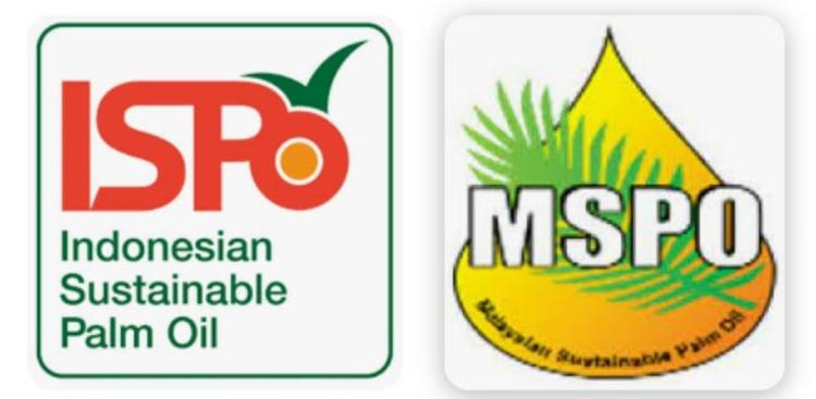 ISPO Belum Diakui Pasar Global, Pengusaha Sawit Dorong Pemerintah Lakukan ini