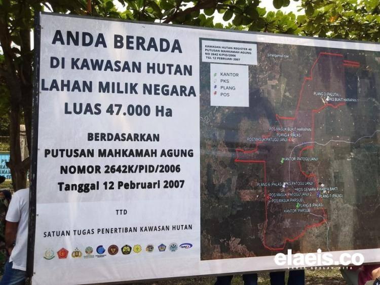 Dilema Kebun Sawit Hasil Rampasan