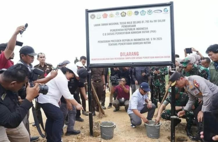 Puluhan Ribu Hektare Sawit Ilegal di TNTN Ditertibkan, akan Dihutankan Kembali