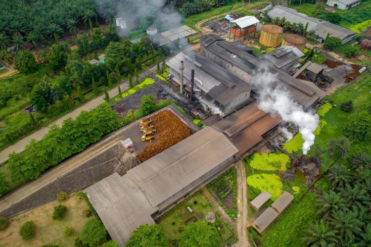 Begini Langkah PTPN IV Perkuat Peran Strategis Jaga Ketahanan Pangan Nasional