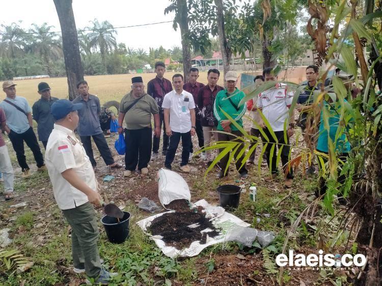Dampak Cuaca, Produksi Kebun KPUD Tani Sejahtera Anjlok sampai 16%