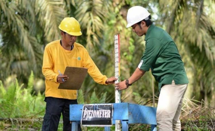 Cegah Karhutla, GAPKI Dukung Perluasan Desa Mandiri Peduli Gambut