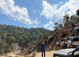 Bakar Hutan 10 Hektare Buka Kebun Sawit, Tiga Pelaku Gol