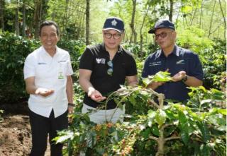 Kementerian BUMN Apresiasi Turn Around Kopi PTPN di Kawasan Ijen