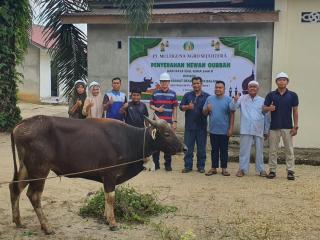 PT MAS Serahkan Seekor Sapi Kurban untuk Masyarakat Banjar Balam