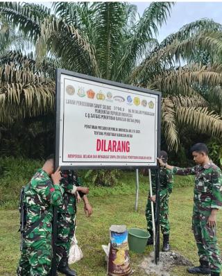 Sudah Lebih 1 Juta Hektare Sawit di Kawasan Hutan Ditertibkan Satgas PKH
