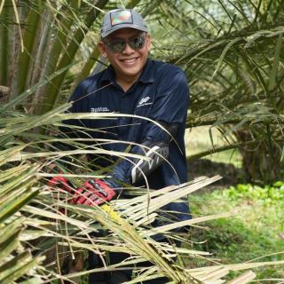 Harga CPO Dunia Terus Melemah, Ini Langkah PTPN IV Palm Co Perkuat Peran Strategis Jaga Ketahanan Pangan Nasional