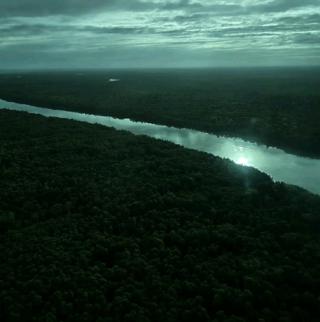 Perkuat Program Biodiesel, Lahan Sawit akan Dibuka di Papua Selatan