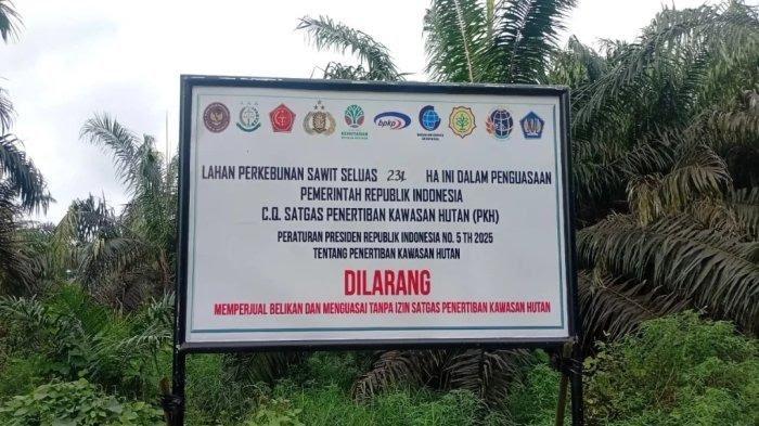 Satgas PKH Amankan Ribuan Hektar Kebun Sawit Ilegal di Konsesi Perusahaan di Tebo