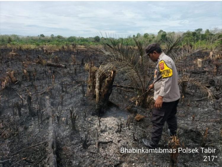 Perusahaan Sawit Kena Warning, Cegah Karhutla atau Kena Sanksi!