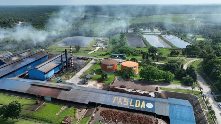 Utilisasi Industri Sawit Jauh di Bawah Kapasitas Terpasang, ini Penyebabnya