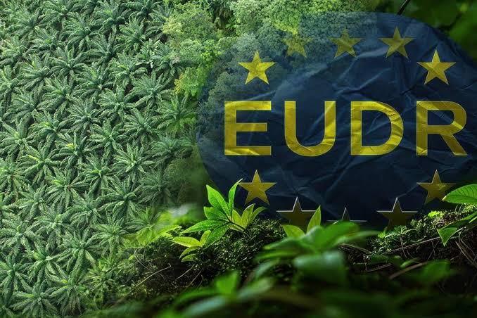 IEU-CEPA Dinilai Tidak Untungkan Sawit Jika EUDR Tetap Berlaku
