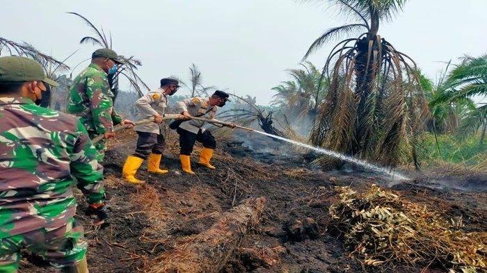 Ribuan Hektare Lahannya Terbakar, Perusahaan Sawit ini Dihukum Bayar Ganti Rugi Ratusan Miliar