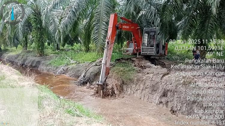 Musim Kemarau Jadi Moment Koppsa-M Memaksimalkan Perawatan Kebun
