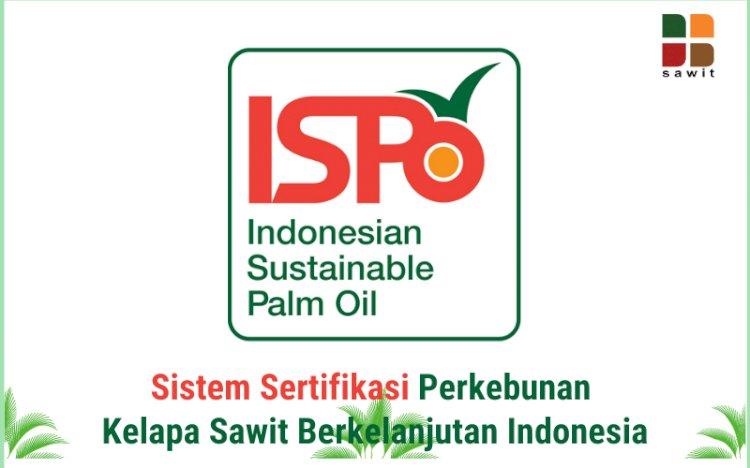 Bersertifikat ISPO, Petani Sawit Bakal Dapat Insentif 4% dari Harga TBS