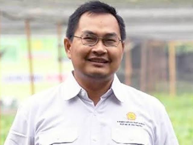 Pemerintah Terus Dorong Hilirisasi Komoditas Selain Sawit