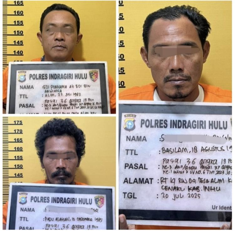 Kasus Jual Beli Hutan untuk Kebun Sawit, Kepala Desa di Inhu Ikut Ditangkap