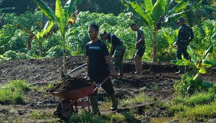 Limbah Sawit Dijadikan Pupuk Organik di Lahan Garapan Korem 012/TU, Begini Hasilnya