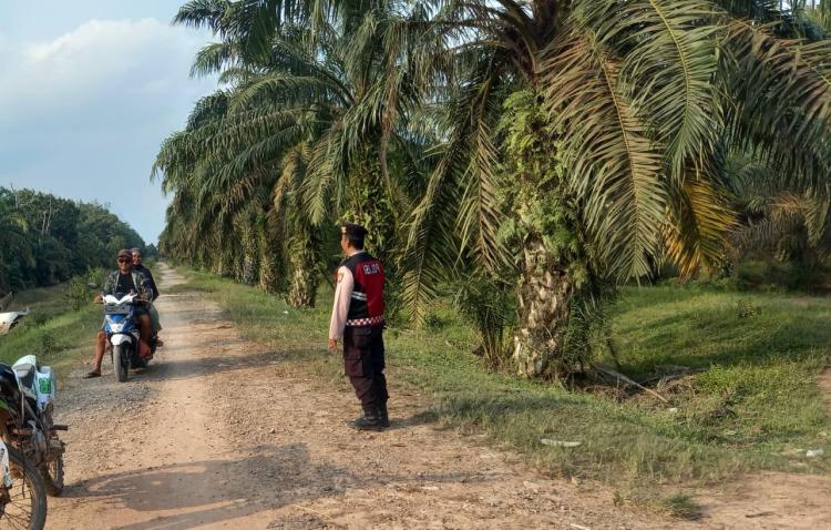 Cegah C3 di Areal Perkebunan Sawit, Patroli Hunting di Mulyodadi Ditingkatkan