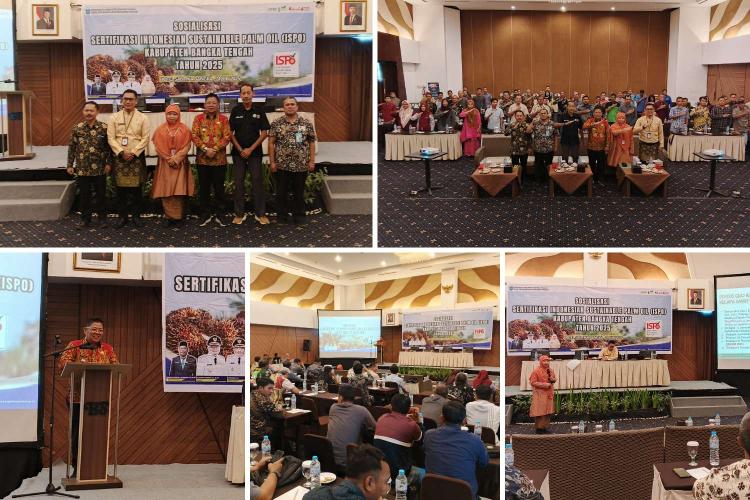 Menuju Sawit Berkelanjutan, Petani di Bangka Tengah Dibekali Pengetahuan Sertifikasi ISPO