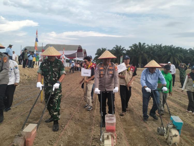 Penanaman Jagung Serentak Kuartal III Digelar di Kebun PT Sampoerna Agro Tanjung Sari