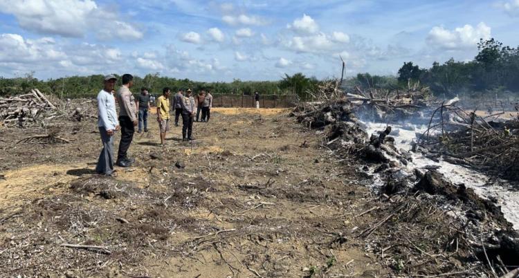 Bakar Lahan Ganti Karet Jadi Sawit di Kuansing, Warga Pekanbaru Ditangkap 