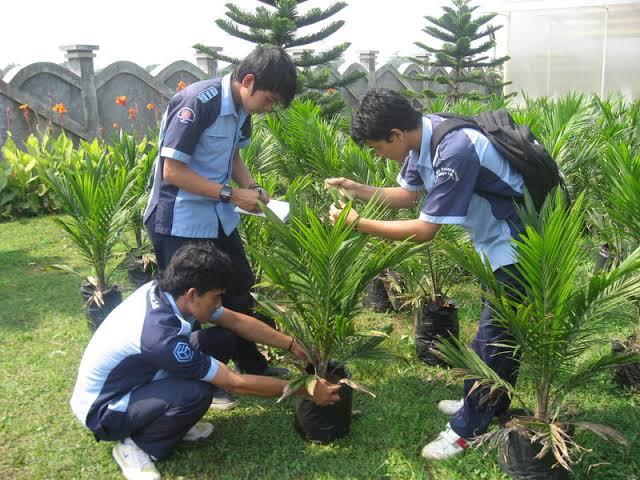 Perkuat SDM Sawit, Poltek CWE Rancang Program Akademik untuk Jawab Tantangan Global