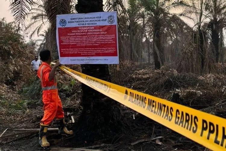 Disebut KLH Terkait Karhutla, PT Tunggal Mitra Plantation Buka Suara