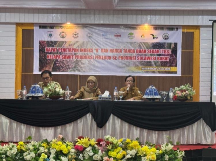 Harga TBS Sawit Sulbar Periode Juli 2025 Turun Jadi Rp 2.906,08/Kg, ini Dua Penyebabnya