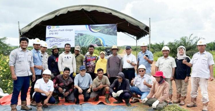 IPB University Tawarkan Koronisasi, Solusi Cerdas Optimalkan Lahan Replanting Sawit