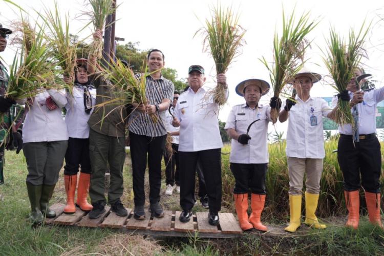 Perkuat Ketahanan Pangan, Wagub Sulbar Dorong Cetak Sawah Baru, Tekan Konversi ke Sawit