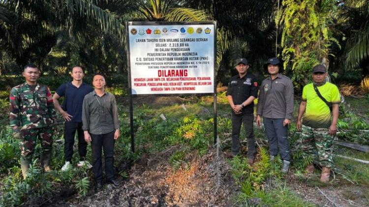 Satgas PKH Tertibkan Ribuan Hektar Lahan Sawit dalam Tahura di Pulang Pisau
