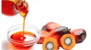 Inovasi Peneliti Unpad Tawarkan Deteksi Asam Lemak Bebas Sawit Lebih Cepat