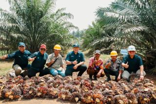 PTPN IV Regional III Jadi Pilot Project Wujudkan Produktivitas 7 Ton CPO
