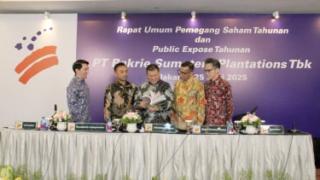 Cetak Penjualan Rp 497 Miliar, Begini Strategi Emiten Sawit ini Genjot Produksi