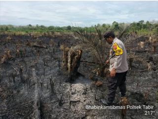 Perusahaan Sawit Kena Warning, Cegah Karhutla atau Kena Sanksi!