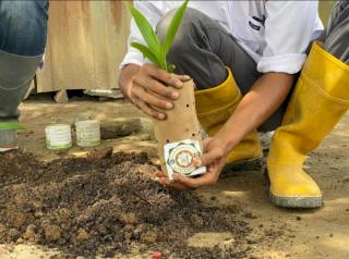 Tahan Basah, Paper Bag dari Tandan Kosong Gantikan Polybag di Pembibitan Sawit