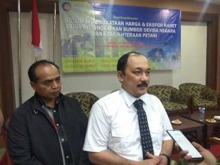 GAPKINDO Tolak Wacana Konversi 2,7 Juta Hektare Karet Jadi Sawit