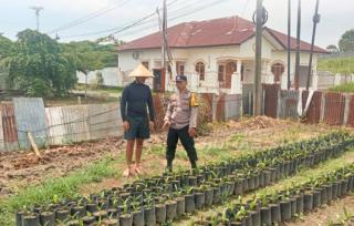Polsek Siantar Marihat Dukung Warga Manfaatkan Lahan Kosong untuk Pembibitan Sawit