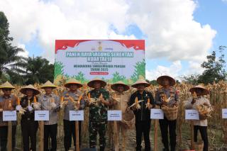 PPU Jadi Lokasi Utama Panen Jagung Kuartal II di Kaltim
