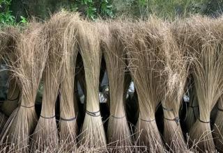 Penuhi 3 Syarat ini, Lidi Sawit Jadi Cuan!