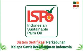Bersertifikat ISPO, Petani Sawit Bakal Dapat Insentif 4% dari Harga TBS