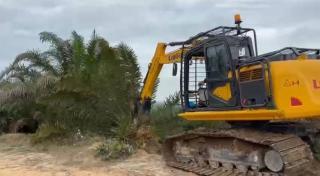 Diolah Sejak 2007, Kelompok Tani Kembalikan 415 Hektare Kebun Sawit di TNTN ke Negara