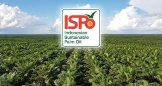 ISPO Petani Sawit Swadaya Baru 5,3%, Begini Strategi Kementan Kejar Target Sertifikasi