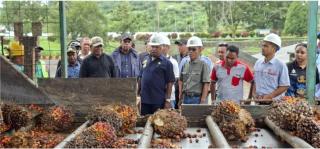 Perusahaan Sawit di Jayapura Diminta Lebih Peduli Pendidikan dan Kesehatan Warga