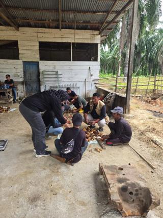Distanbun Aceh Timur Dinilai Tidak Serius Dalam Pengawasan Harga Pembelian Sawit