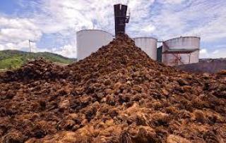 Inovasi Mahasiswa Undip Ubah Limbah Tankos Sawit Jadi Pupuk Super Tanah Gambut