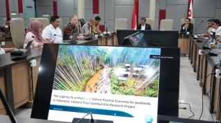 Peneliti Bilang Sawit Cocok di Lahan Gambut, Cuma...